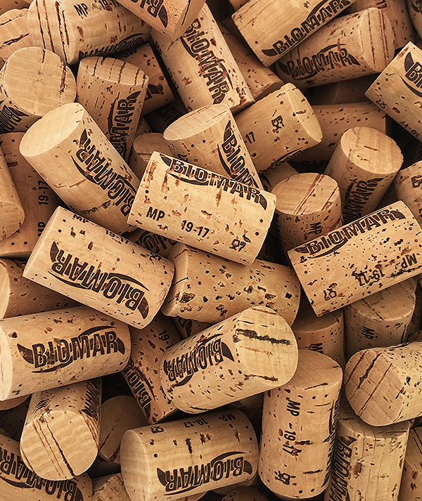 Sostenibilita: vigneti biologici certificati - Tenuta La Sabbiosa
